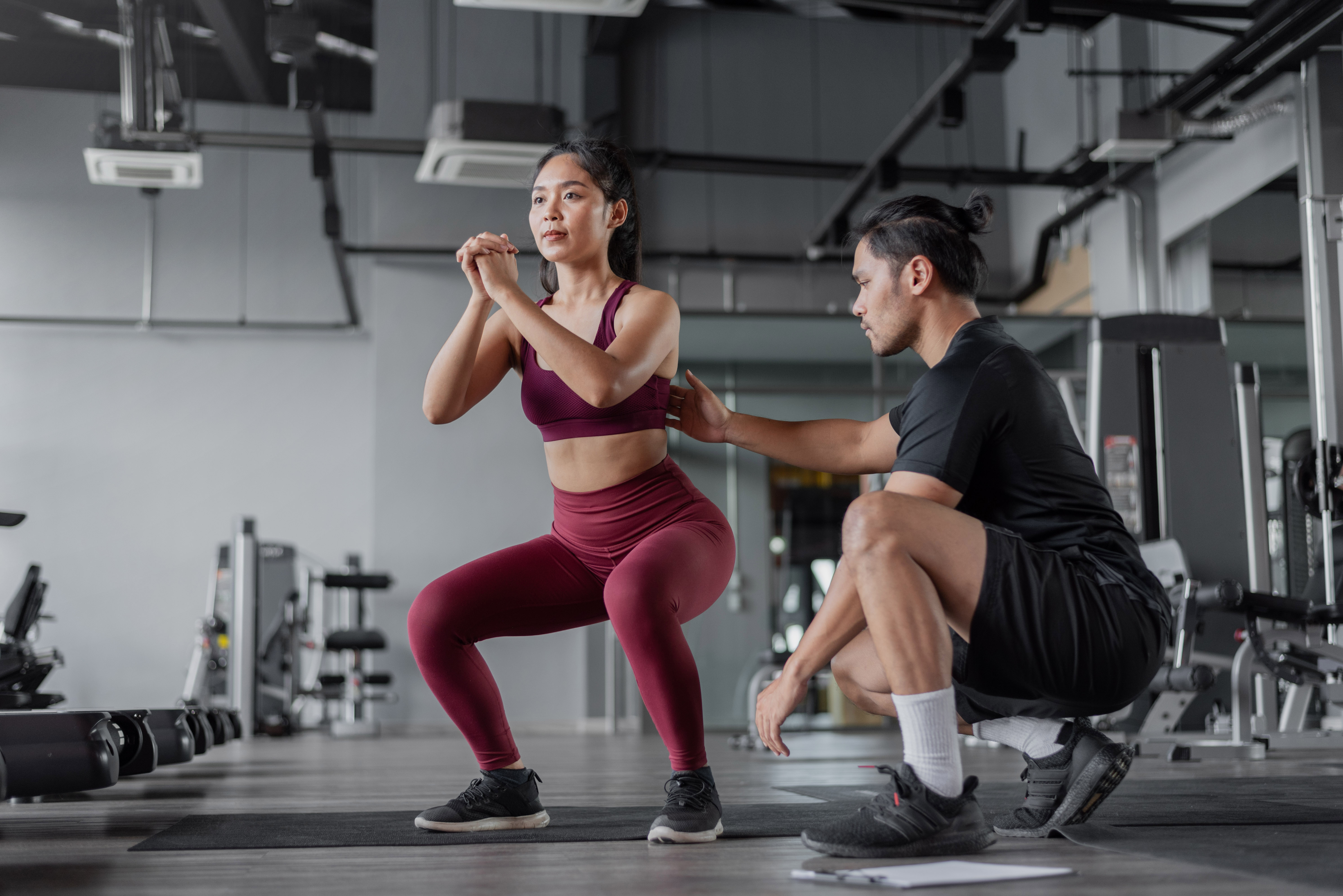 プレミアムプラン